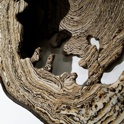 Driftwood detail