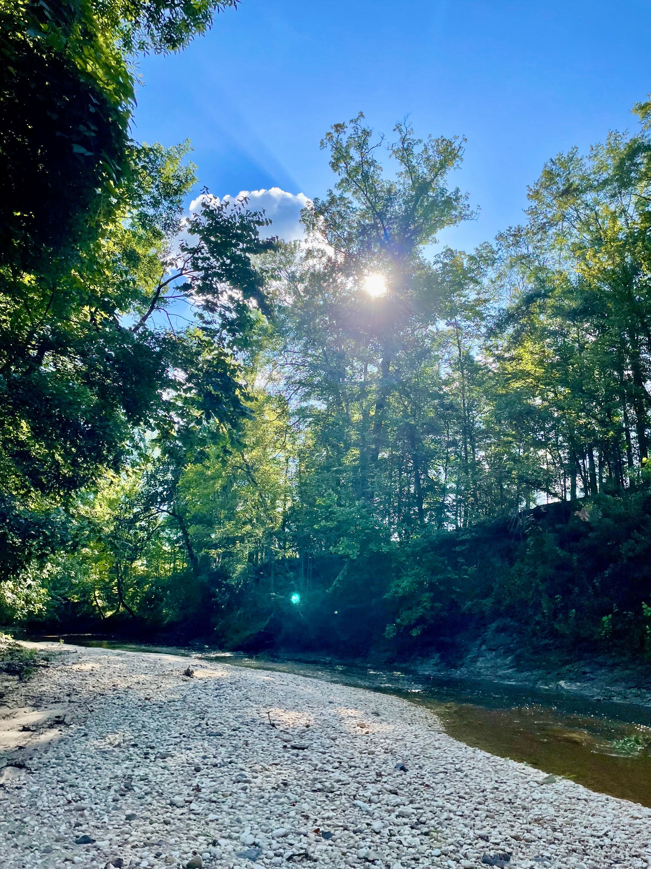 sun peeks through trees along Gramp Creek
