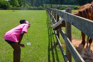a girl playfully looks at a horse peeking through a fence