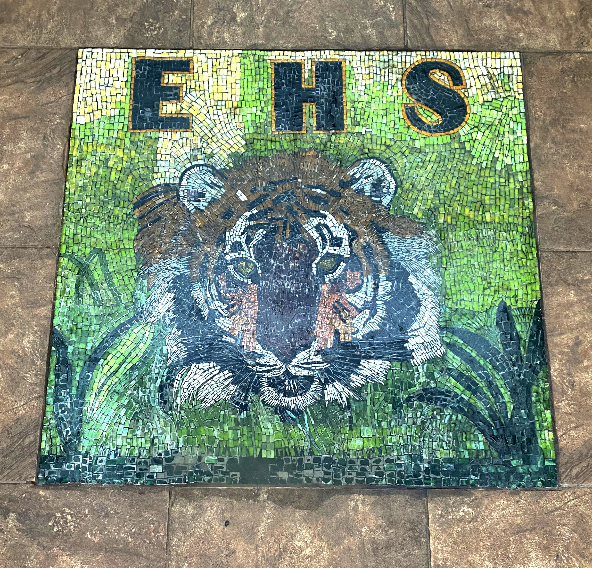 Artwork of a tiger with EHS written at the top
